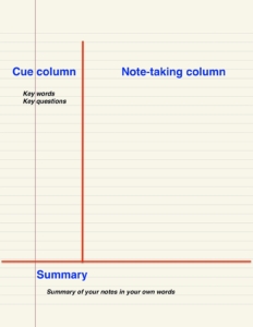 Cornell note system